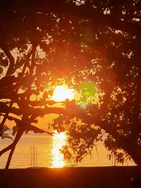 Себунг Лагой: Berakit Bay Resort
