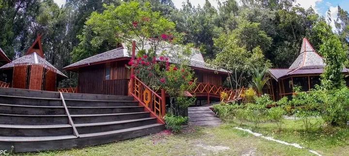 Палангкарая: Borneo Escape - Eco Village