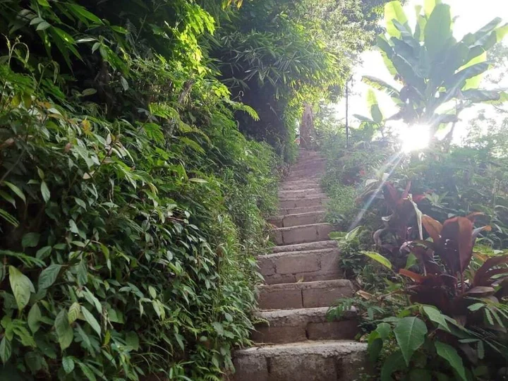 Батурити: ECOcamp Bedugul