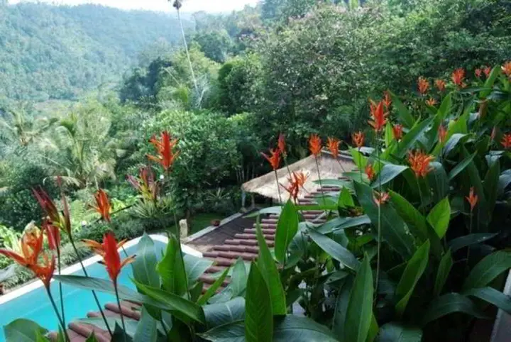 Паянган: The Payangan Hideaway Villa Ubud