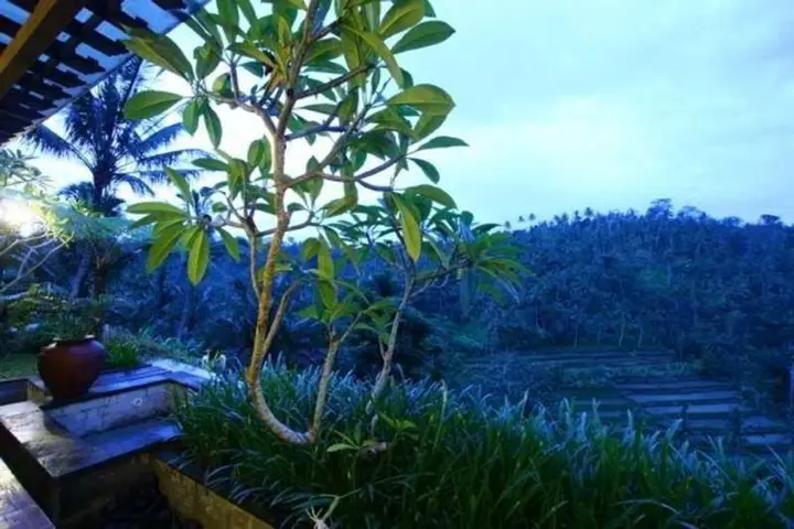 Паянган: The Payangan Hideaway Villa Ubud