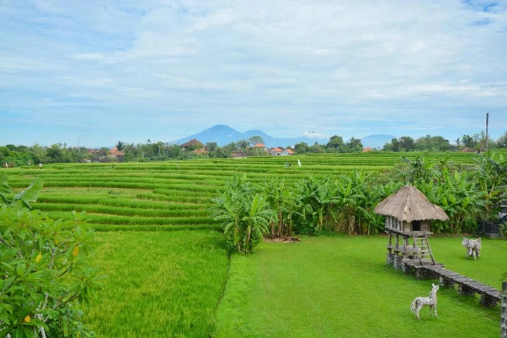 Чангу: Villa Agong