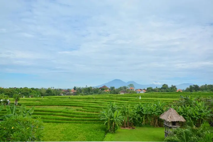 Чангу: Villa Agong