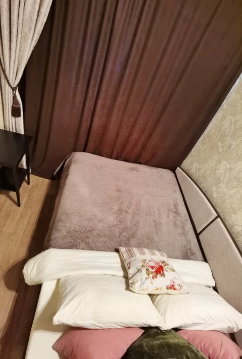 Петропавловск-Камчатский: Апартаменты Багира на Тушканова 29