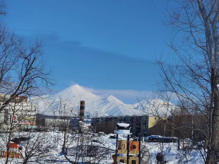Петропавловск-Камчатский: Апартаменты Багира на Тушканова 29