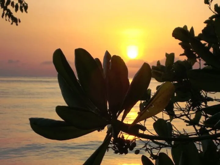 Тембок: Tejakula Ocean Beach House2bd2baacbreakfast
