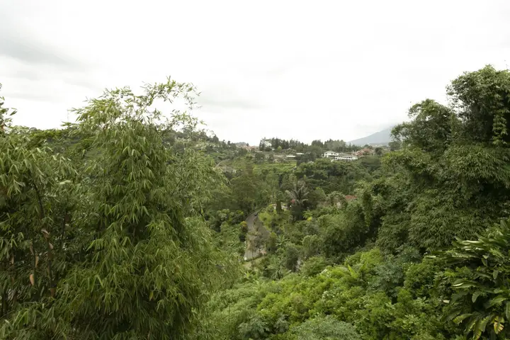 Лембанг: OYO 3130 D'Valley View