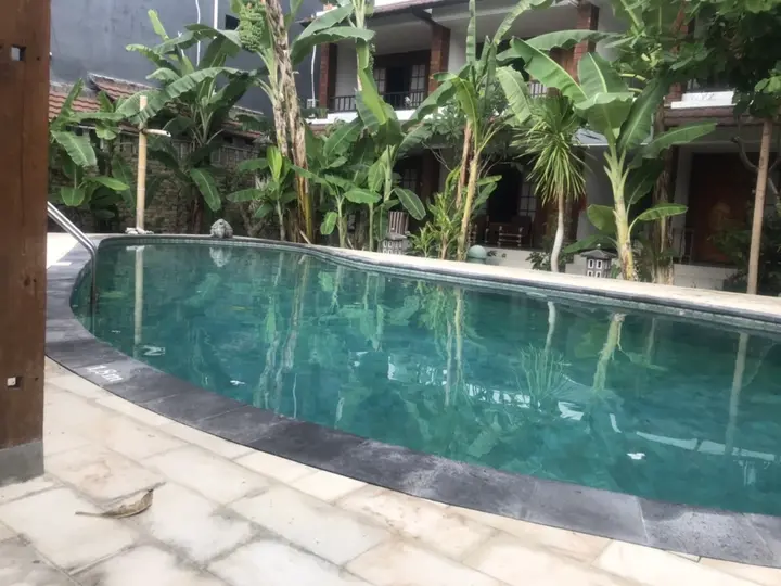 Денпасар: Sanur Lodge