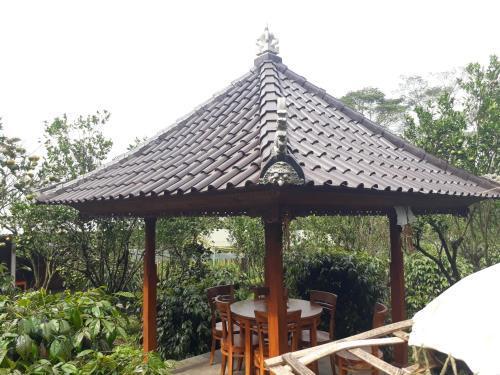 Кинтамани: D'Umah Coffee