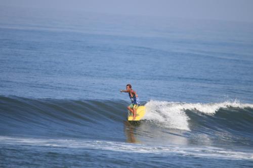 Чангу: Surf Lodge Canggu