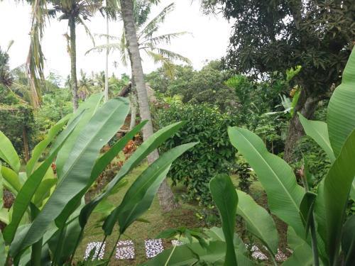 Селемадег: Villa Gede Batulumbang