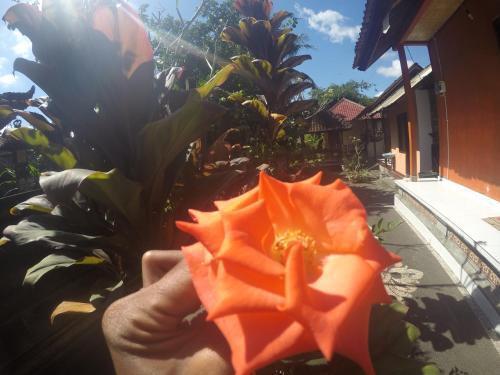 Убуд: Dipa Home Stay