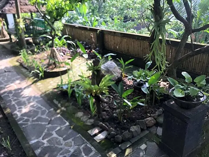 Сенджиги: Sasak Lebung Home