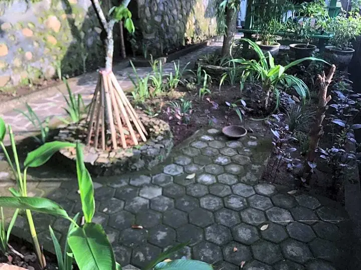 Сенджиги: Sasak Lebung Home