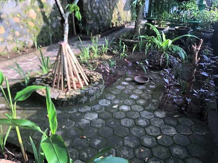 Сенджиги: Sasak Lebung Home