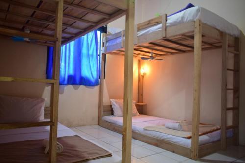 Боробудур: DoDo Backpacker Hostel Borobudur