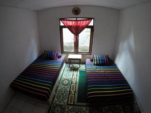 Sera's Homestay — фото 1