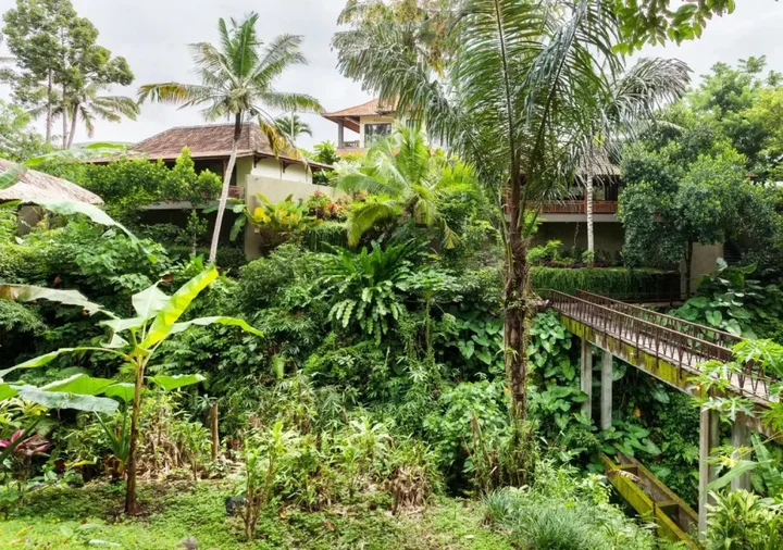 Убуд: Ubud Heaven Sayan