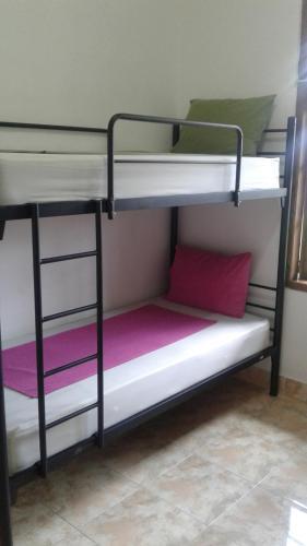 Чангу: Beachbums Berawa Hostel
