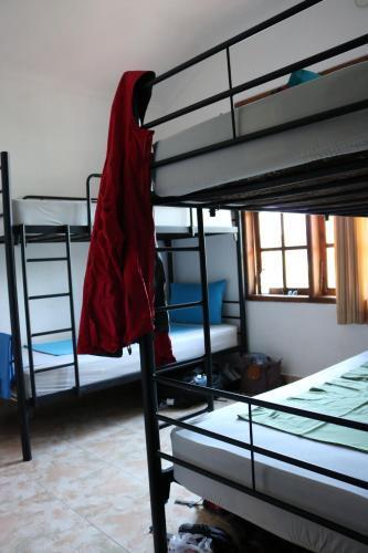 Чангу: Beachbums Berawa Hostel