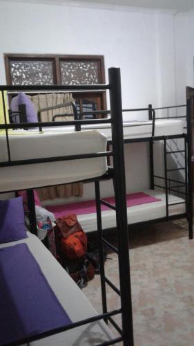 Чангу: Beachbums Berawa Hostel