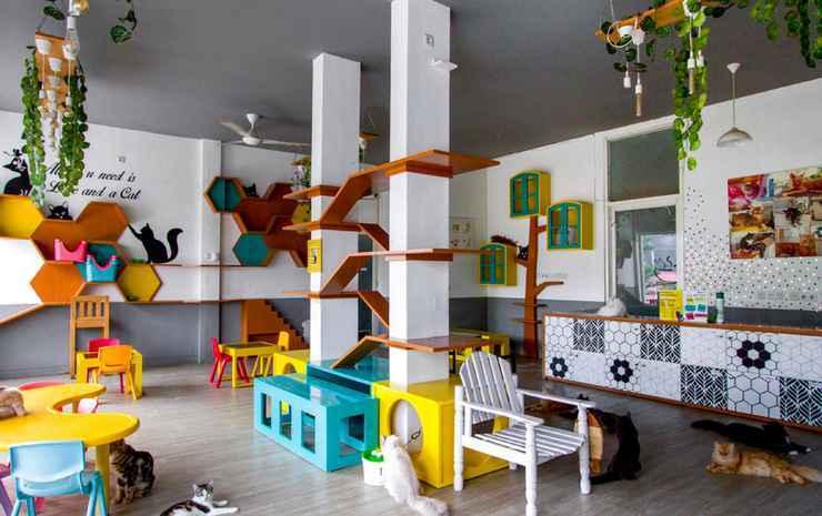 Макассар: OYO 3166 Witte Steen Homestay Syariah