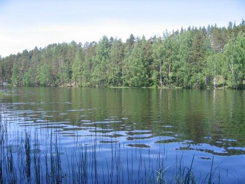 Петровское: Baza Otdikha Svyazist