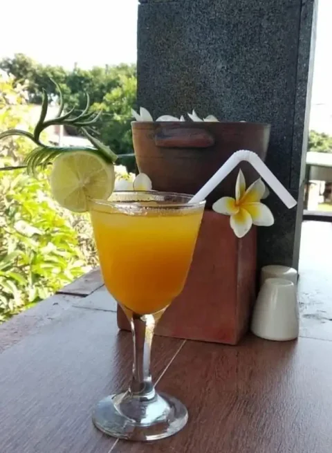 Каликбукбук: Asiana Lovina Hotel
