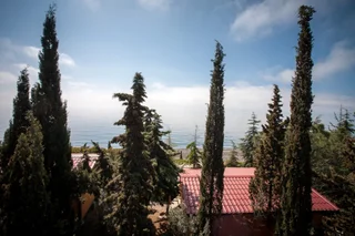 Приветное: Eco-Village Hotel