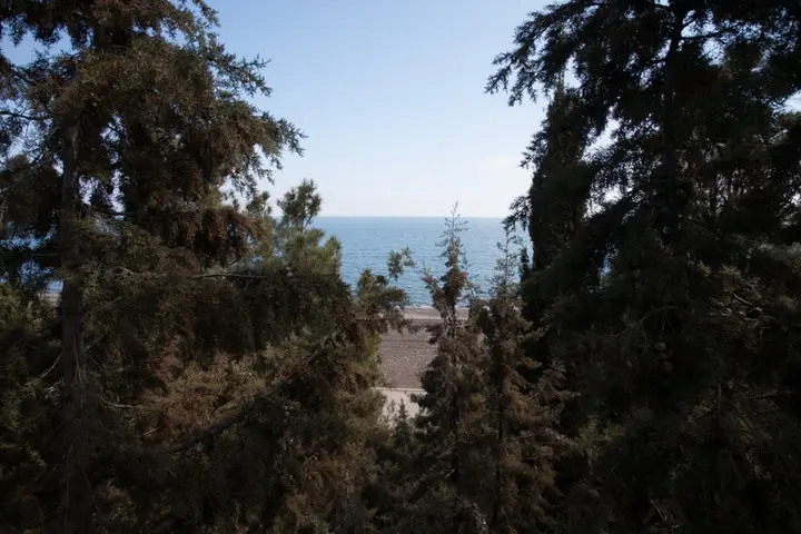 Приветное: Eco-Village Hotel