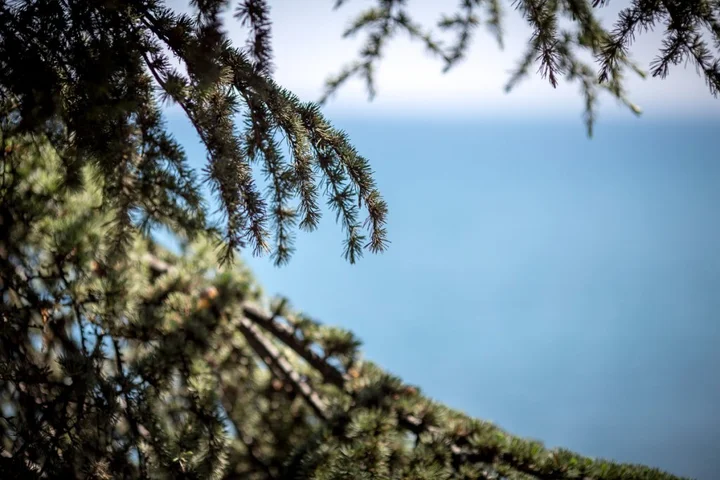 Приветное: Eco-Village Hotel