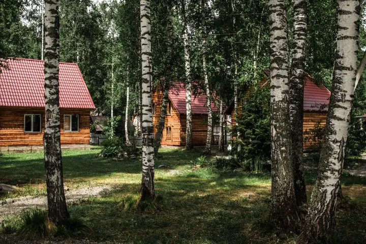 База отдыха Лесная Сказка — фото 6
