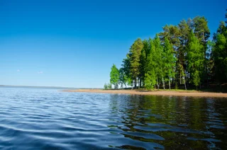 Петровское: База Отдыха Мыс Вуокса