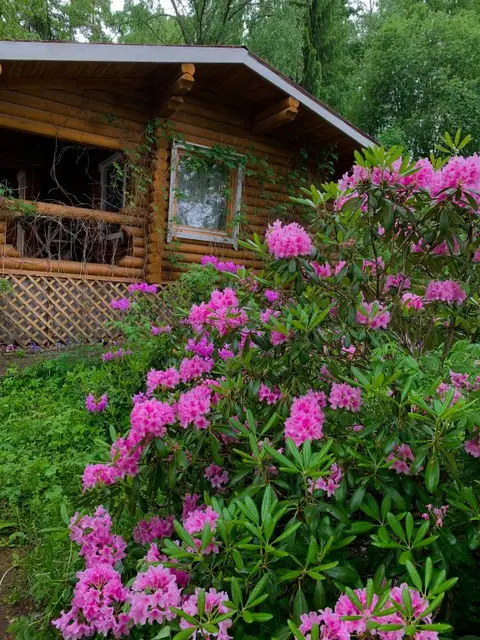 База Отдыха Мыс Вуокса — фото 2