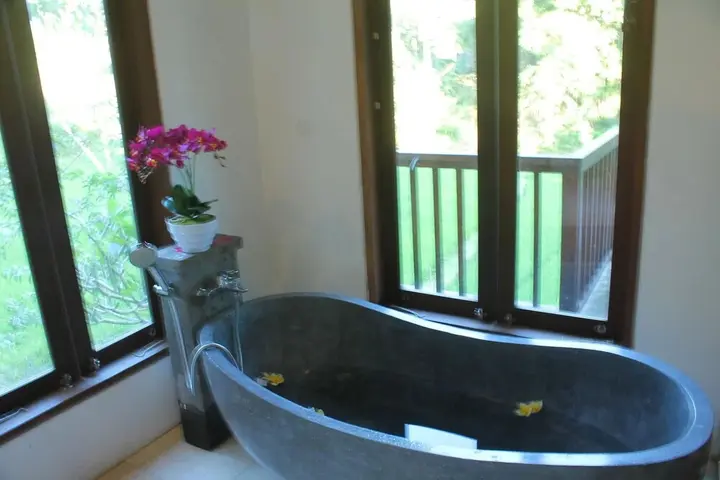Тойа Бунгках: Tirta Loka Suite
