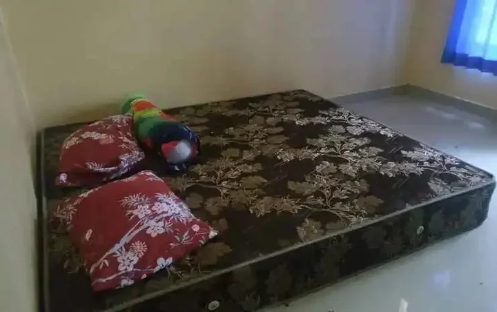 Батуретно: Elvira Homestay - Hostel