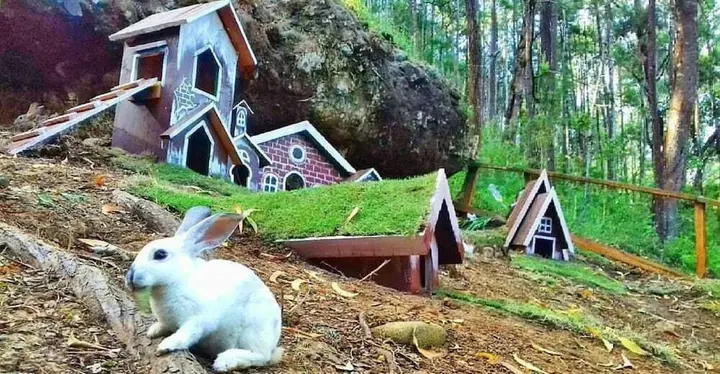 Батуретно: Seribu Batu Songgo Langit Resort & Camp