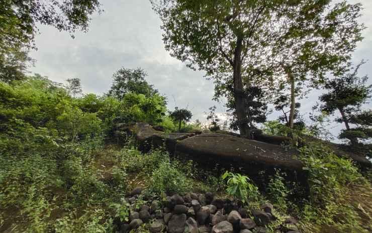 Watu Wayang Camp & Tracking — фото 4
