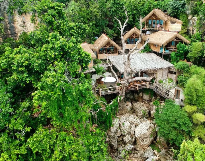 Пекату: The Korowai