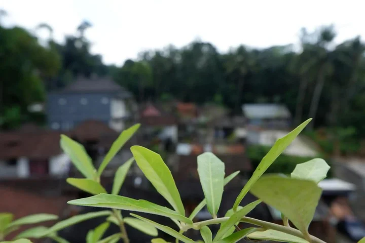Тегаллаланг: Ramaya Ubud View by EPS