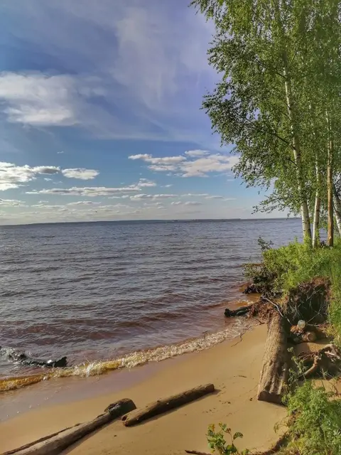 Нижний Новгород: Кемпинг Берег Грифона