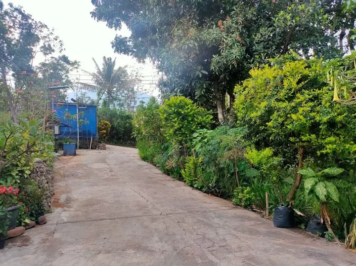 Бандунган: Hotel Rinosari Bandungan