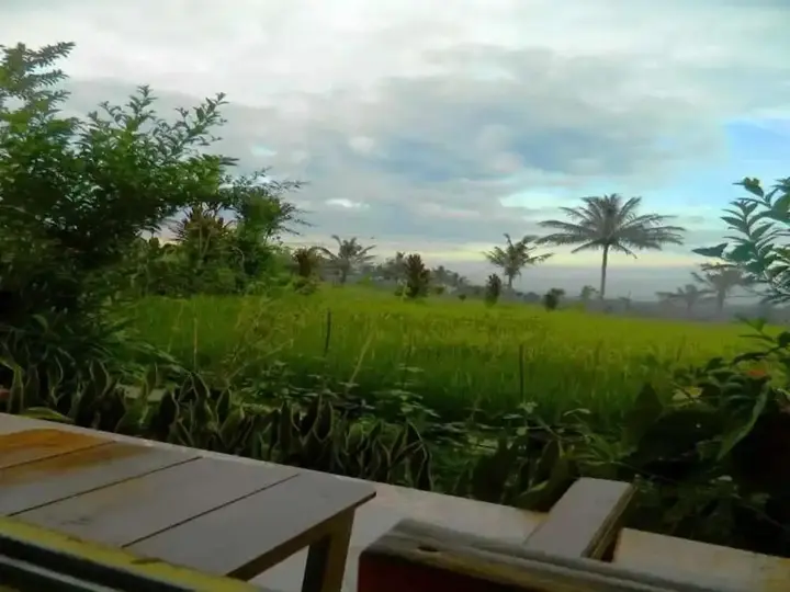Остров Менджанган: Kampoeng Tourist Homestay
