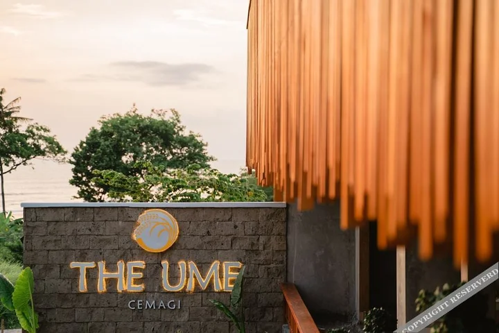 Сесе: The Ume Cemagi