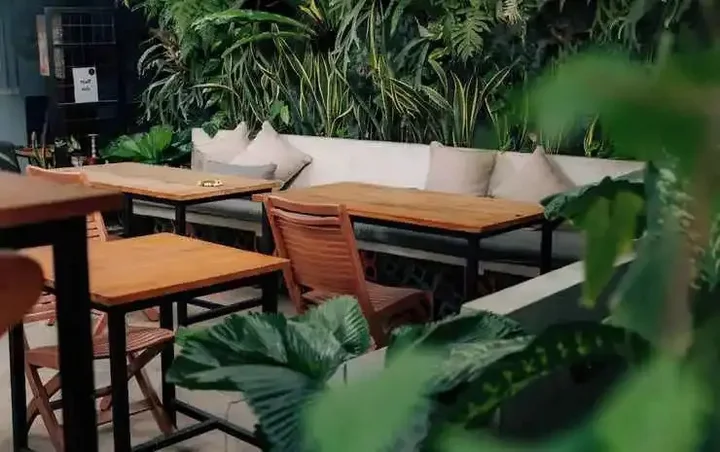 Переренан: The Jungle Hostel Canggu