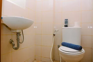 Депок: Fully Furnished Studio with Queen Bed at Dave Apartment
