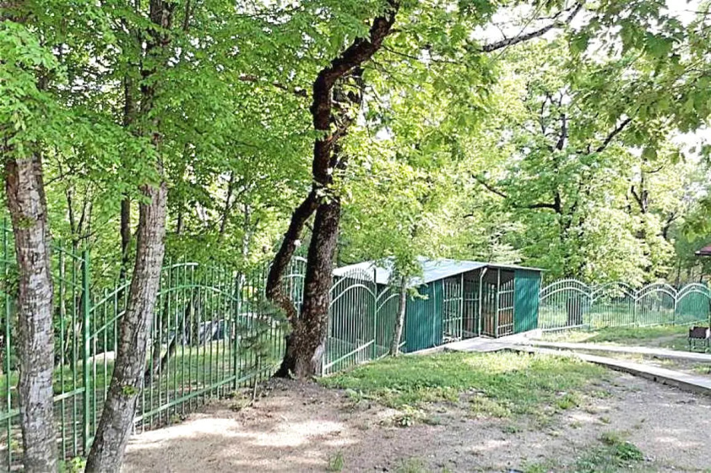 Туапсе: Гостевой Дом Бревенчатый