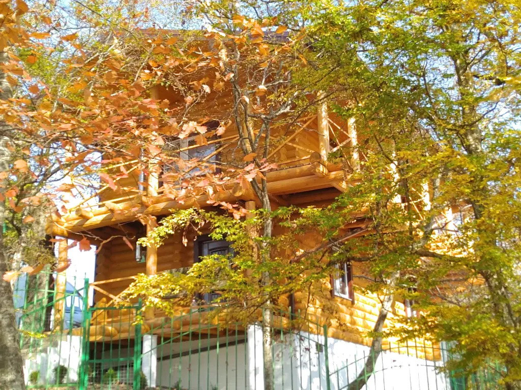 carousel image 1