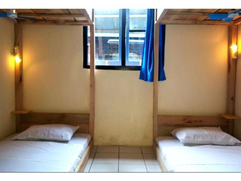 Dodo Dormitory Backpacker — фото 2