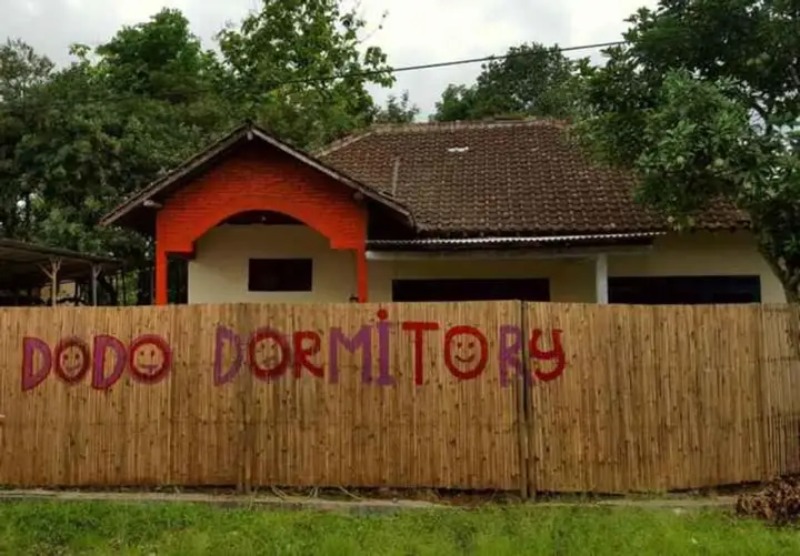 Dodo Dormitory Backpacker — фото 4